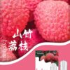 sp2s枝枝煙彈,SP2S主機,sp2s煙油,思博瑞菸油,思博瑞煙油,sp2s菸油,sp2s,思博瑞,sp2s電子煙,sp2s主機,sp2s口味,sp2s推薦,sp2s煙彈,sp2s糖果,sp2s電子菸,sp2s電子菸主機,sp2s口味推薦,sp2s購買,sp2s菸彈,sp2s電子菸購買,sp2s官網,sp2s菸彈推薦,電子煙,電子菸推薦,電子煙口味,電子煙推薦,sp2s糖果口味,思博瑞電子煙ptt,思博瑞電子煙dcard,思博瑞電子煙評價,sp2s煙彈口味推薦,思博瑞主機,sp2s主機說明書,sp2s拋棄式四代,SP2S7000口拋棄式,sp2s新款電子煙,思博瑞電子煙,思博瑞口味,思博瑞推薦,思博瑞煙彈,思博瑞糖果,思博瑞電子菸,思博瑞電子菸主機,思博瑞口味推薦,思博瑞購買,思博瑞菸彈,思博瑞拋棄式,SP2S煙桿,思博瑞官網